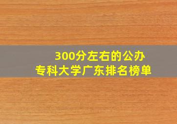 300分左右的公办专科大学广东排名榜单