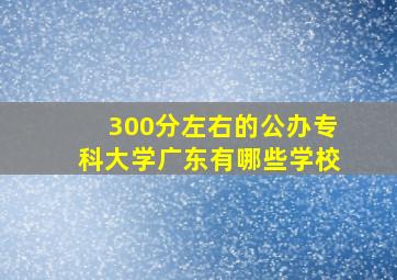 300分左右的公办专科大学广东有哪些学校