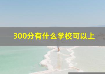 300分有什么学校可以上