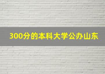 300分的本科大学公办山东