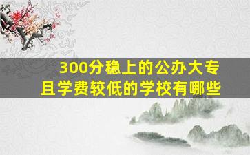 300分稳上的公办大专且学费较低的学校有哪些