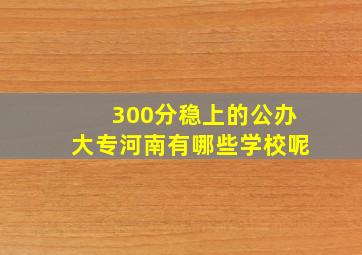 300分稳上的公办大专河南有哪些学校呢