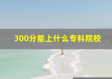 300分能上什么专科院校