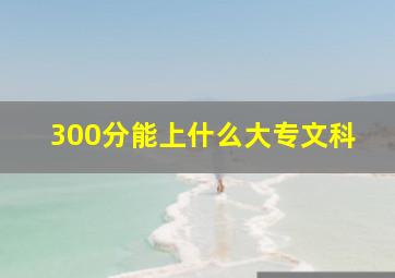 300分能上什么大专文科