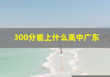 300分能上什么高中广东