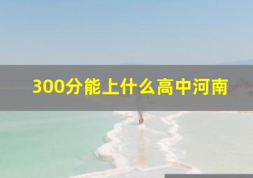 300分能上什么高中河南