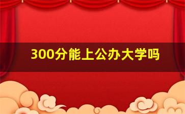 300分能上公办大学吗