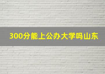 300分能上公办大学吗山东