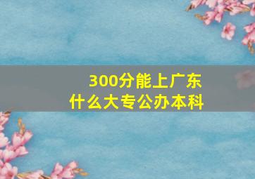 300分能上广东什么大专公办本科