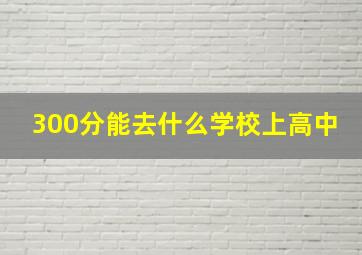 300分能去什么学校上高中