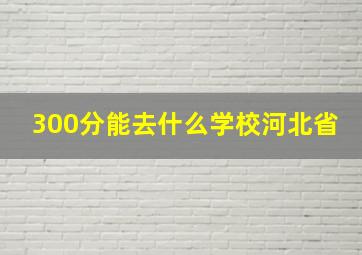 300分能去什么学校河北省