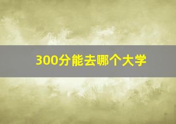 300分能去哪个大学