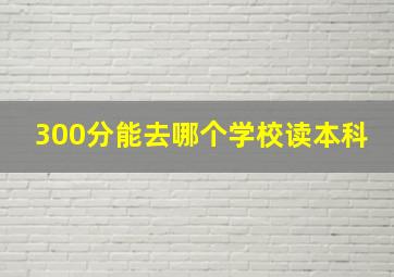 300分能去哪个学校读本科