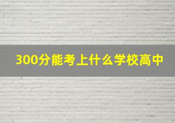 300分能考上什么学校高中