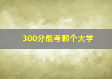 300分能考哪个大学