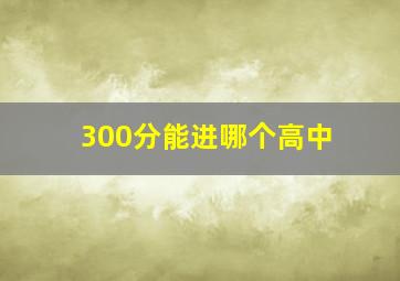 300分能进哪个高中