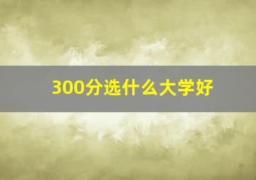 300分选什么大学好