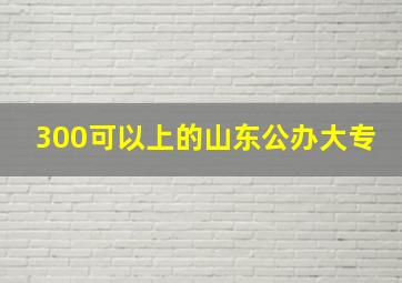 300可以上的山东公办大专