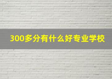 300多分有什么好专业学校