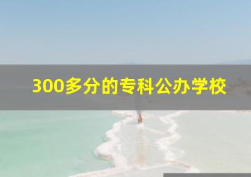 300多分的专科公办学校