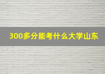 300多分能考什么大学山东