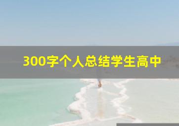 300字个人总结学生高中