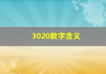 3020数字含义