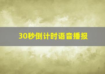 30秒倒计时语音播报