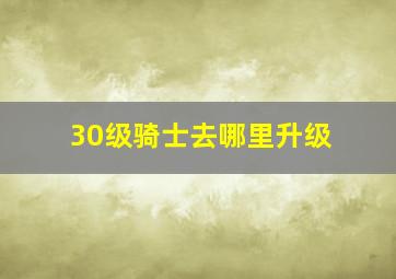 30级骑士去哪里升级