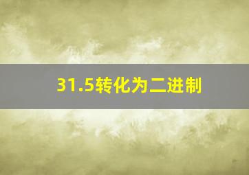 31.5转化为二进制