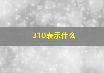 310表示什么