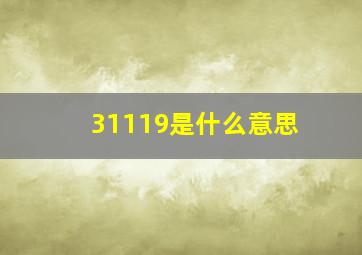 31119是什么意思