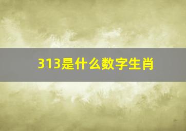 313是什么数字生肖