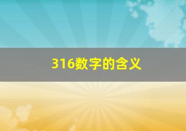 316数字的含义