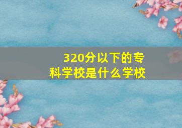 320分以下的专科学校是什么学校