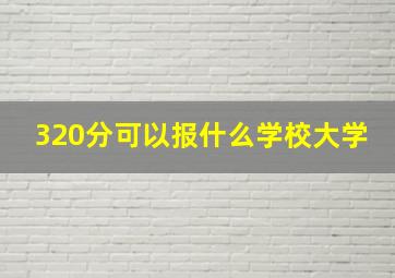 320分可以报什么学校大学