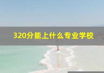 320分能上什么专业学校