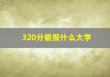 320分能报什么大学