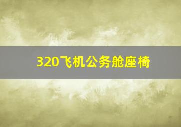 320飞机公务舱座椅