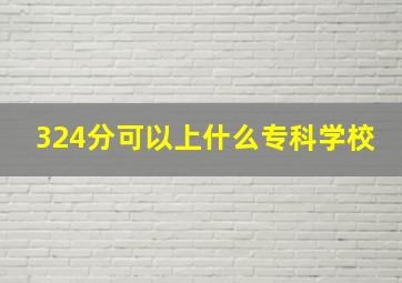 324分可以上什么专科学校