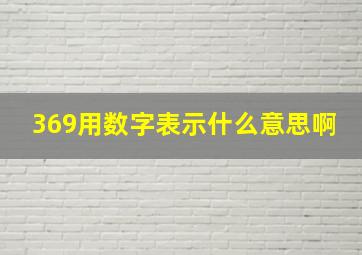 369用数字表示什么意思啊