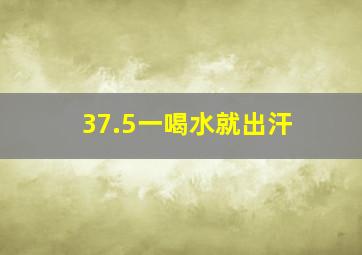 37.5一喝水就出汗