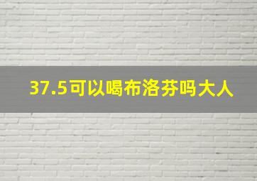 37.5可以喝布洛芬吗大人