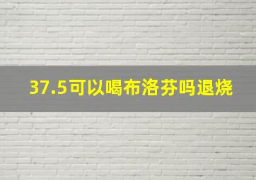 37.5可以喝布洛芬吗退烧