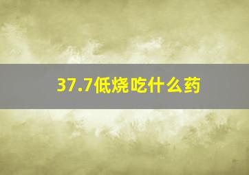 37.7低烧吃什么药