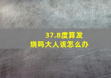 37.8度算发烧吗大人该怎么办