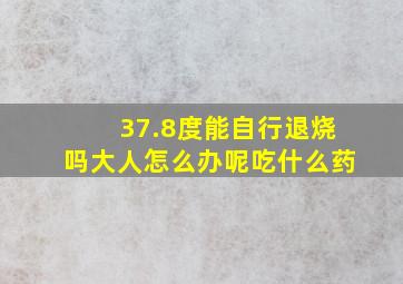 37.8度能自行退烧吗大人怎么办呢吃什么药