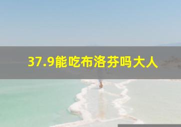 37.9能吃布洛芬吗大人