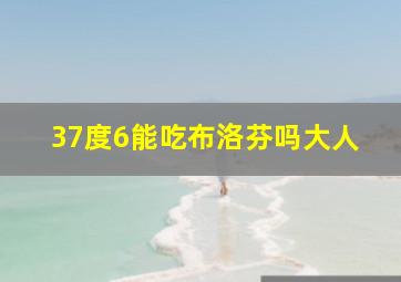 37度6能吃布洛芬吗大人