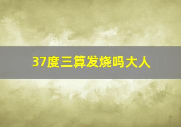 37度三算发烧吗大人